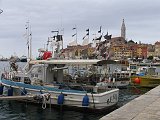 2012-09-13 13-55-01 Ludo